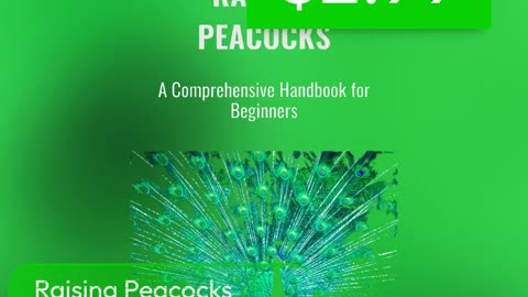 Master Peacock Farming: Expert Tips for Raising Healthy Birds and Building a Profitable Venture