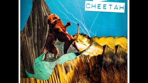 Dirty Cheetah - Never Too Late