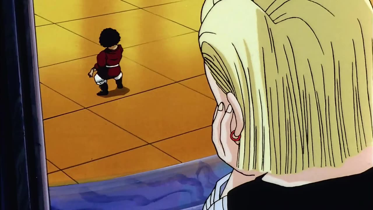 DBZ - El Combate Final