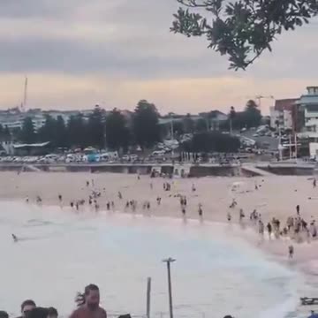 At least seven people, including a police officer, have been shot at Bondi Beach in Sydney