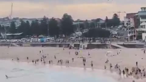 At least seven people, including a police officer, have been shot at Bondi Beach in Sydney