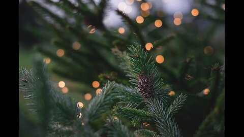 Jesus Immanuel - Matthew 1:18-23