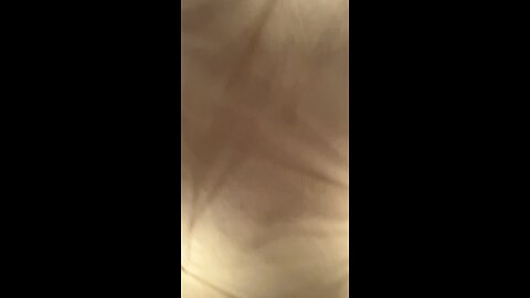 Wednesday Bible Study with Bro Bill bring forth the word 10/29/25