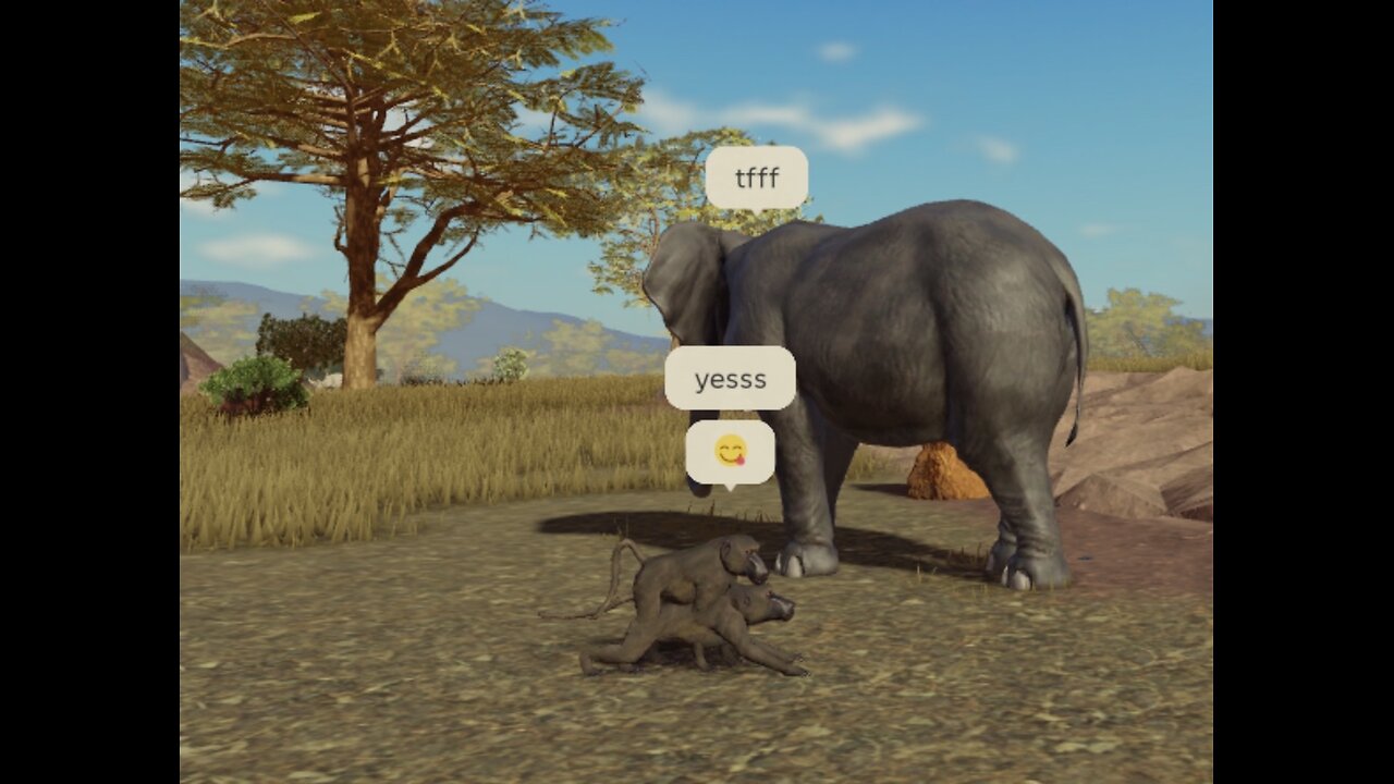 Savannah life with PRC