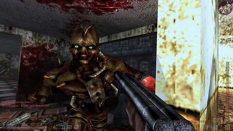 Pound Insanity - Killing Floor mod
