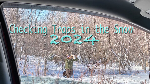 Checking Traps in the Snow 2024