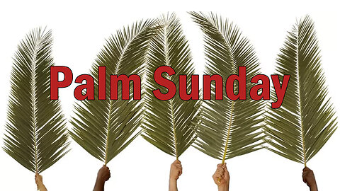 Palm Sunday: What Jesus are you Expecting? (repost previous video deleted)