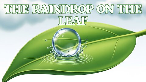 The Raindrop on the Leaf - Calming Kids Song
