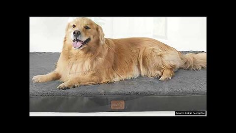 Bedsure Extra Large Dog Bed XL Orthopedic Dog Beds with Removable Review