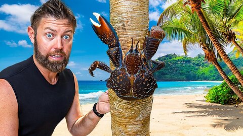 Catching A Giant Crab For Food With Bare Hands
