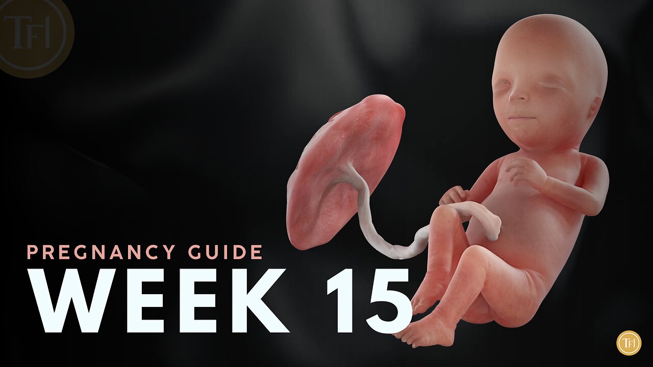 What to Expect at Week 15 | Week by Week Pregnancy Guide