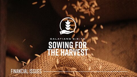 Sowing for the Harvest: Faithful Partnership That Grows the Harvest