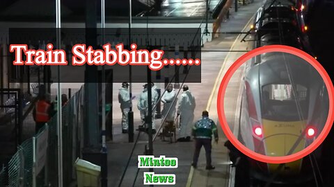 Ten in hospital - nine with life-threatening injuries after stabbing on train