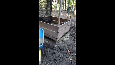 Making Everything Count