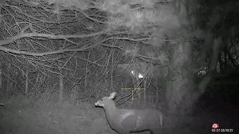 poaching attempt
