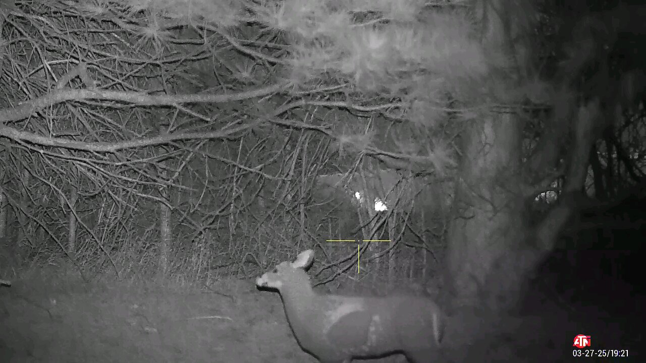 poaching attempt
