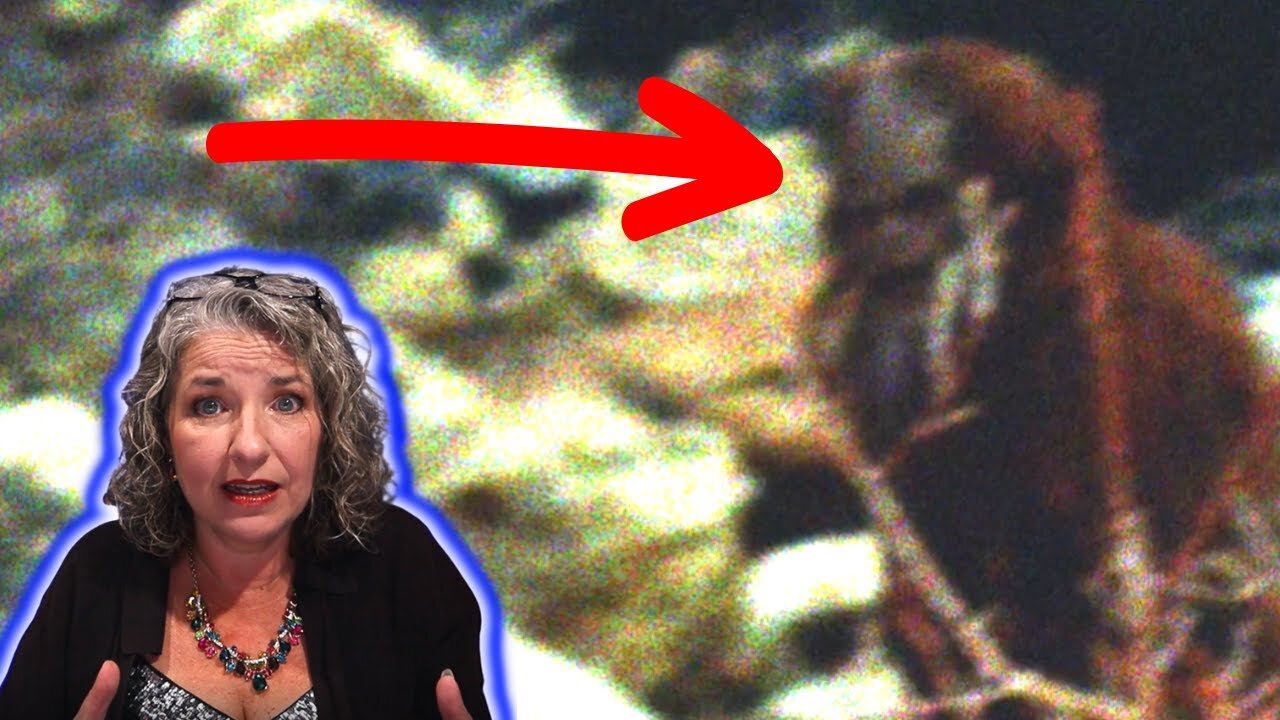 Something Knocked at Midnight… and It Wasn’t Human | 3 TRUE Ranger & Camper Encounters