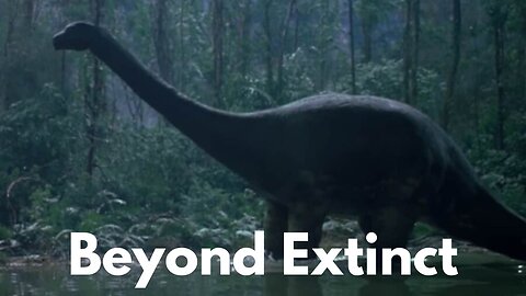 Congo’s Mysterious Monster: The Hunt for Mokele Mbembe