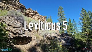 Leviticus 5, Bible Reading in Nature, BSB