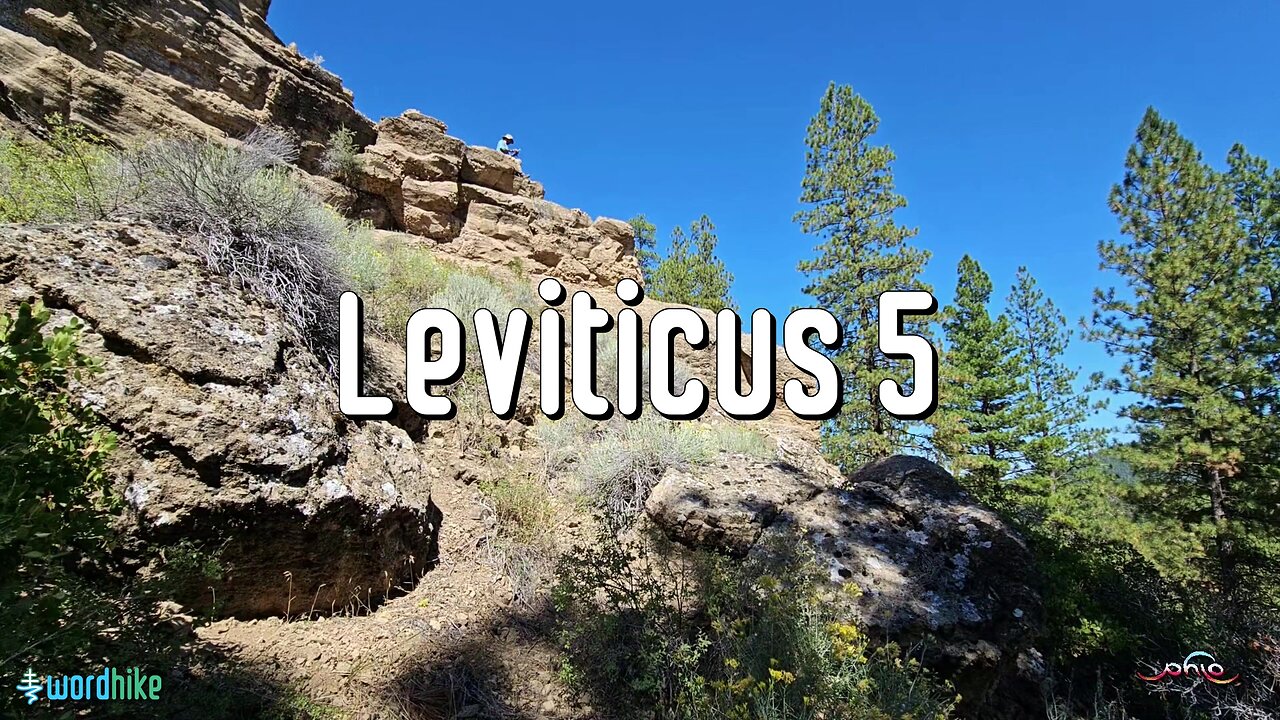 Leviticus 5, Bible Reading in Nature, BSB