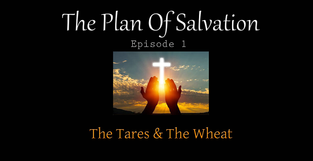 The Plan Of Salvation: 01 - The Tares & The Wheat