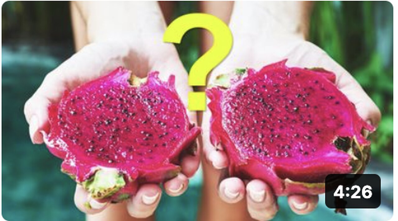 What Is Dragon Fruit Good For 6 Health Benefits of Dragon Fruit (Pitaya)