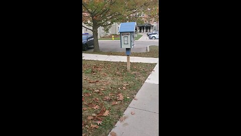 To The Blue and White Little Free Library
