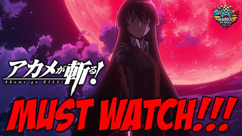 Akame ga Kill! is a Must-Watch