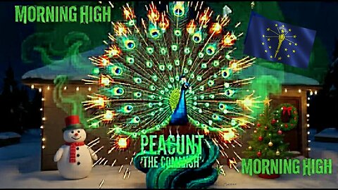 MORNING HIGH 🌞 TUESDAY ☁️☁️🚬🤘👀🦚