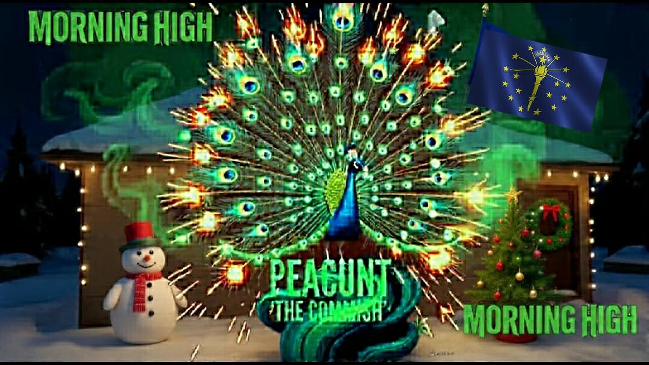 MORNING HIGH 🌞 TUESDAY ☁️☁️🚬🤘👀🦚