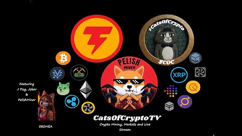 CatsOfCryptoTV Crypto Mining, Markets and Livestream Episode #4