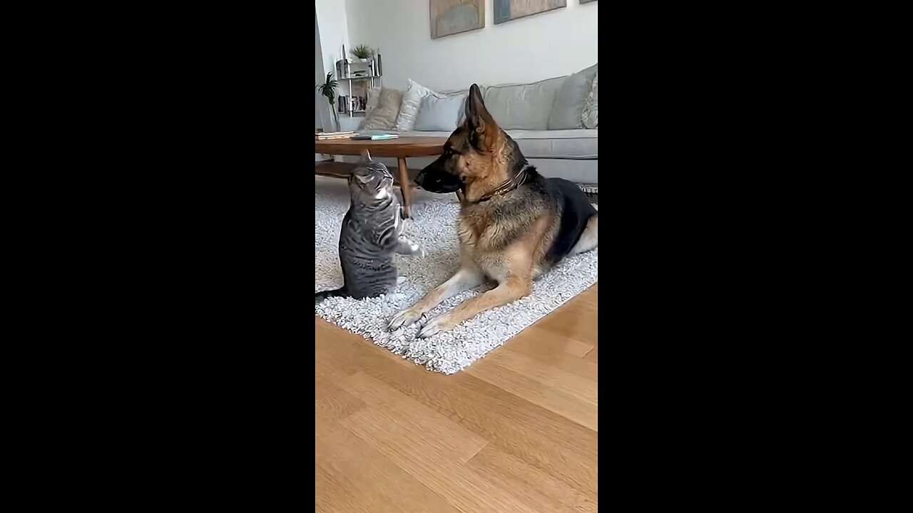 #recommendations #prank #laughter