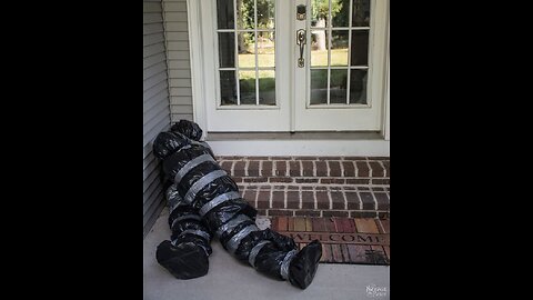 ~I Met Octo In The Back Seat~