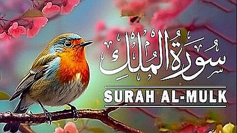 Surah AL Mulk Beautiful voice with English translation | Tilawat By Mishary Rashid Al-Afasy