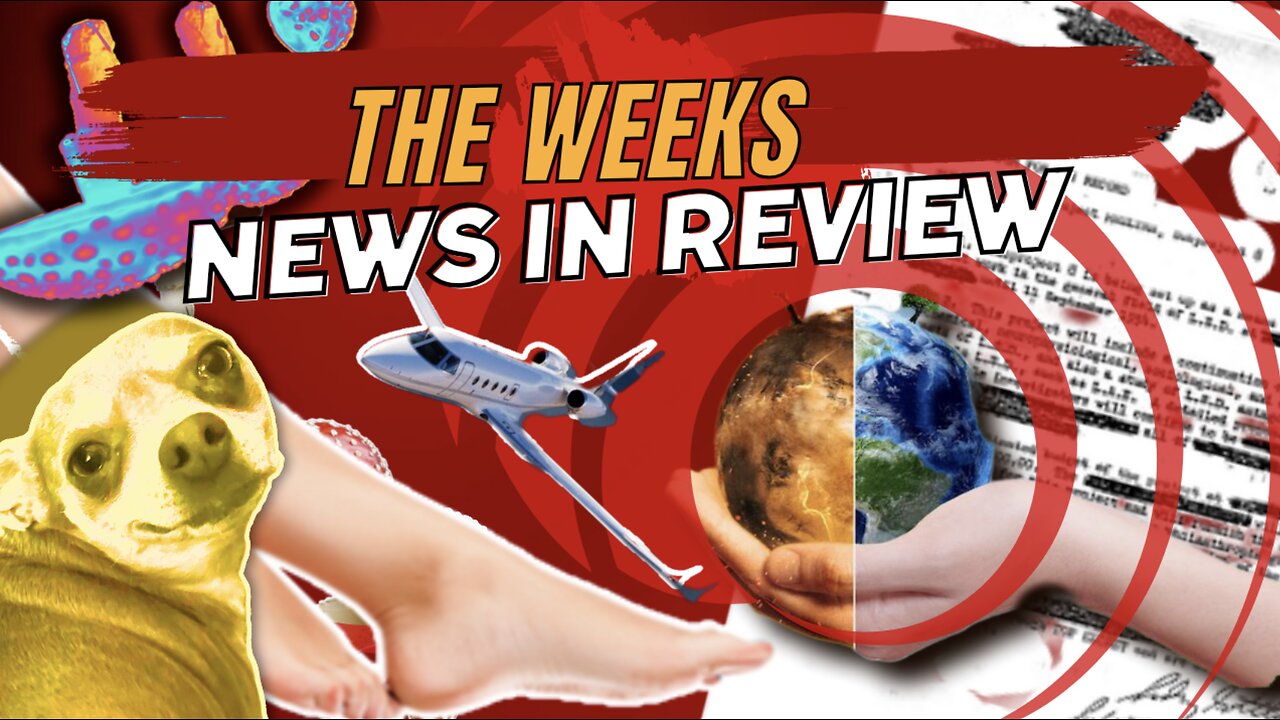 Weekly Recap & Crazy Horny Floridians