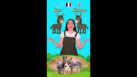 Les animaux en famille | Vidéo éducative pour enfants 2 #apprendre #enfants #débutant #education