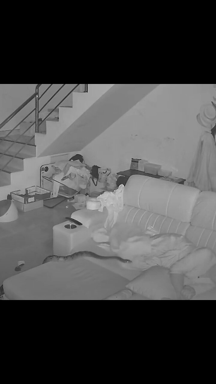 Pitón gigante sorprende a mujer dormida en su casa