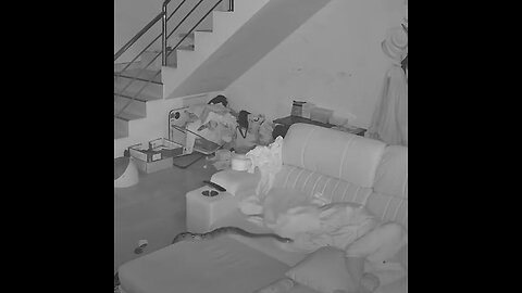 Pitón gigante sorprende a mujer dormida en su casa
