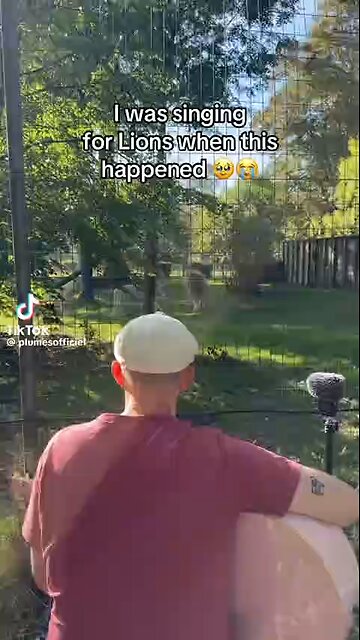 Love All Life Always #349 - Lovely Video. Music Connects All Living Creatures.