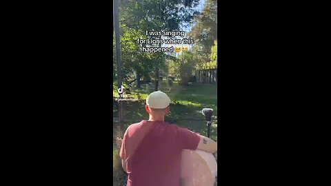 Love All Life Always #349 - Lovely Video. Music Connects All Living Creatures.