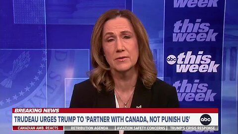 Canadian Ambassador to the U.S. Hillman: Canadians Are ‘Perplexed’ and Confused by Trump’s Tariffs