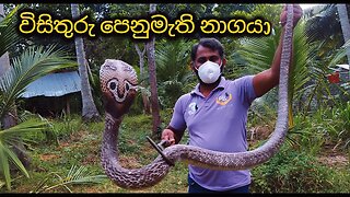 SNAKE MAN FOR SRILANKA 🇱🇰😲