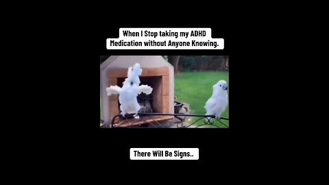 THERE WILL BE SIGNS... 🤣