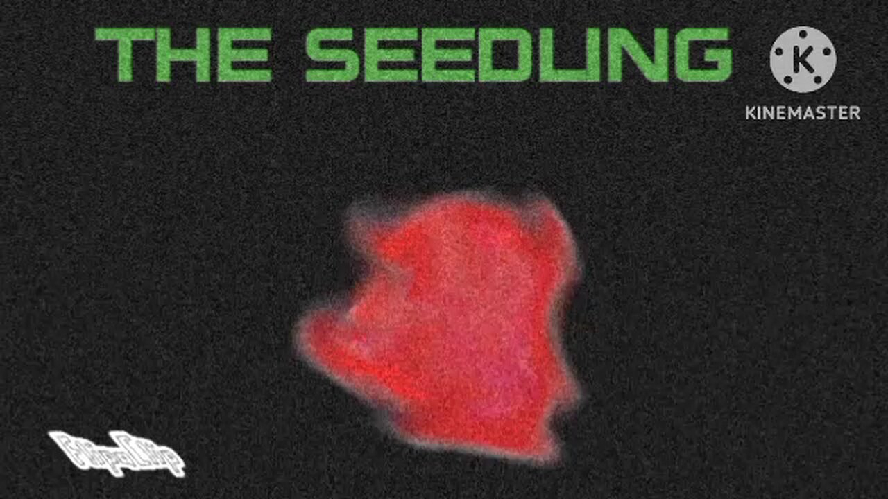 the seedling. analog horror 8