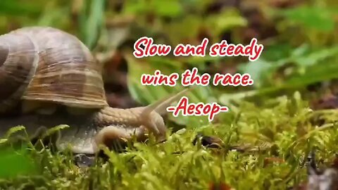 Be like snail! Keep going no matter what!