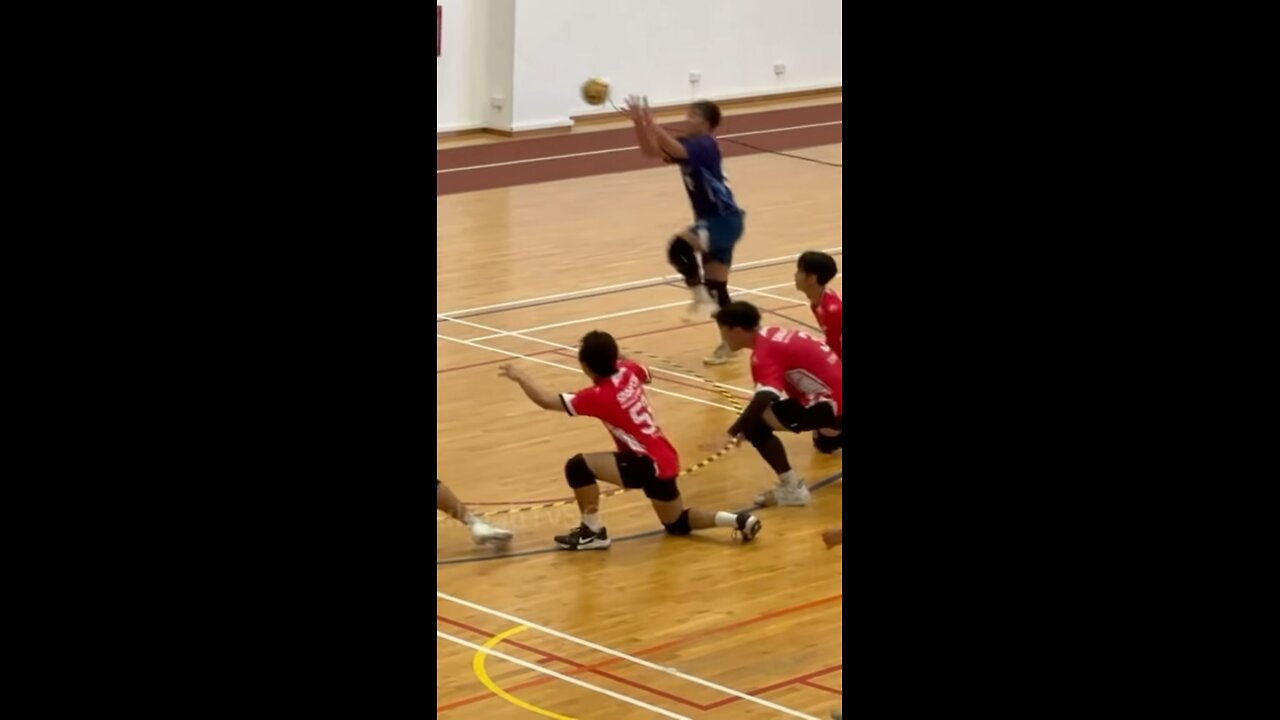 🇹🇼💨 *SPEED* at its finest