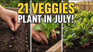 21 Vegetables You Should Plant in July ASAP (Video)