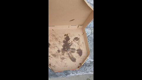 Pizza VLOG in NYC - Bellingham I am traveling via private equity