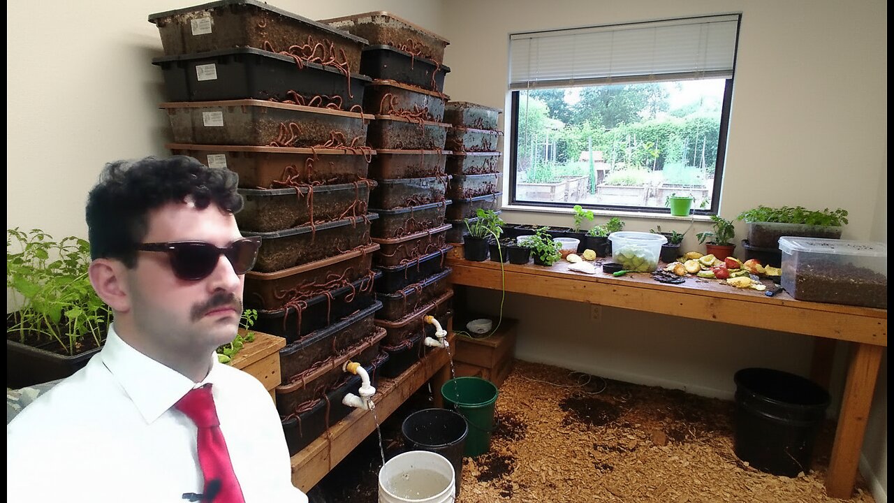 Meme's Worms - SHE IS A VERMICULTURE PRO! - Productivity Zone