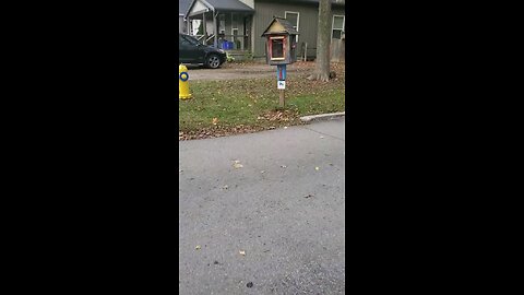 A Red And Yellow Little Free Library